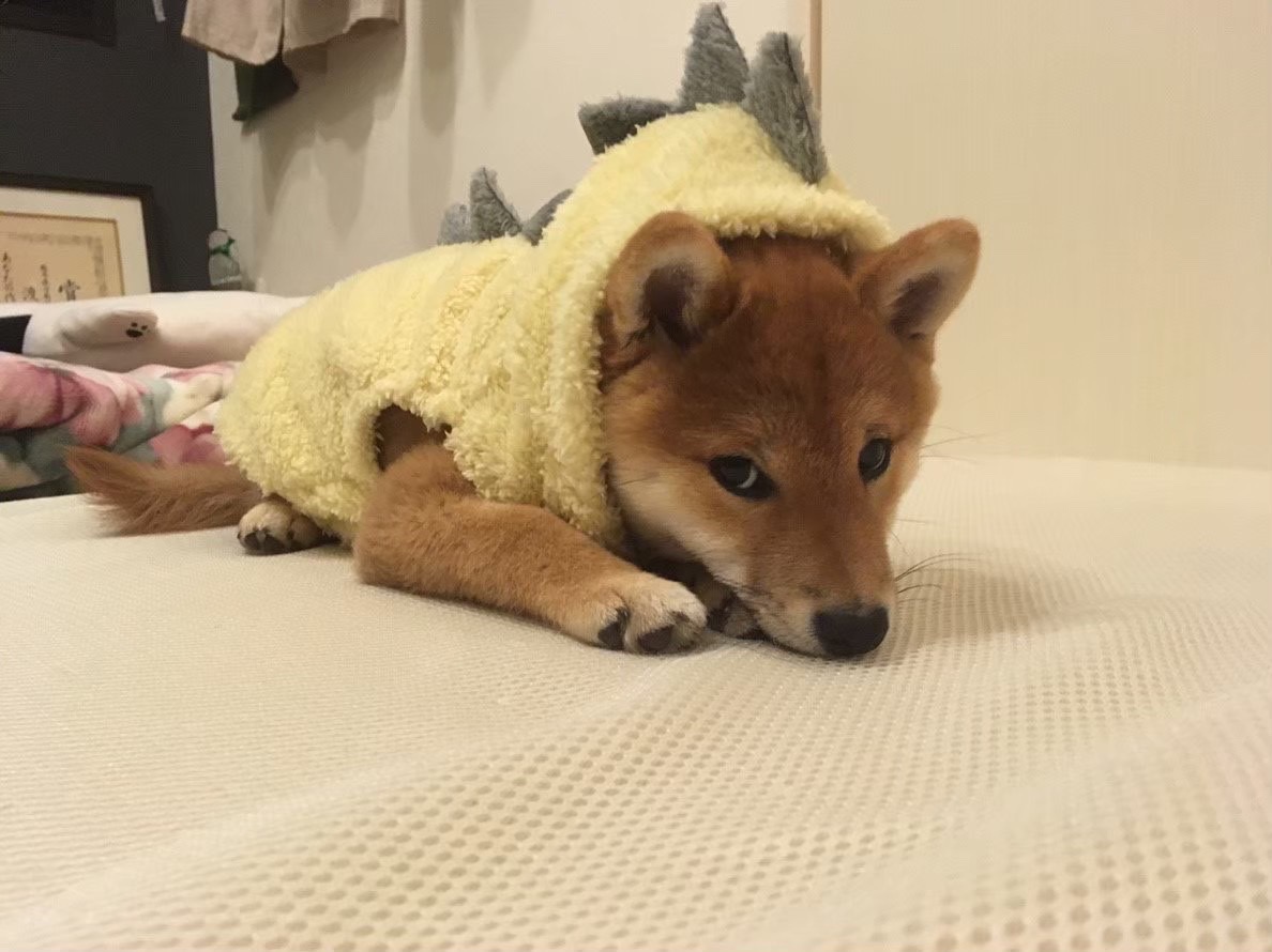 ライター画像